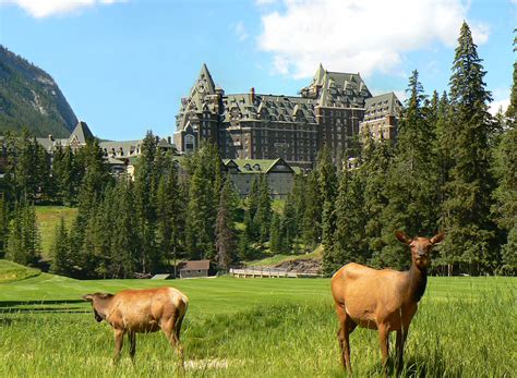 The Fairmont Banff: Fairmont Moments