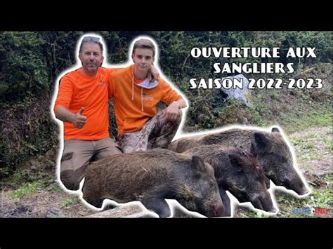 CHASSE AUX SANGLIERS Ouverture saison 2022 2023 2 superbes scènes