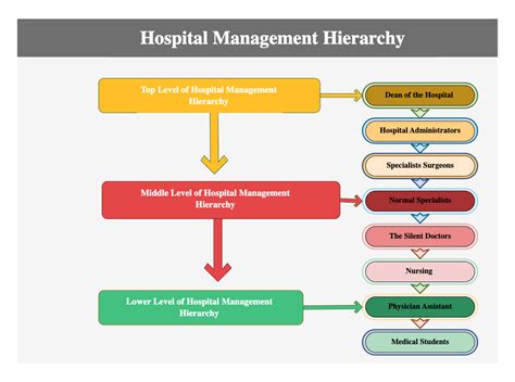 Hospital Management Hierarchy Edrawmax Templates