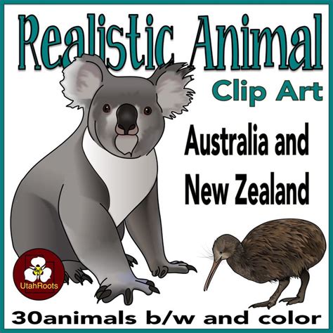 Australian Animal Clip Art | Australian animals, Animals, Australian fauna