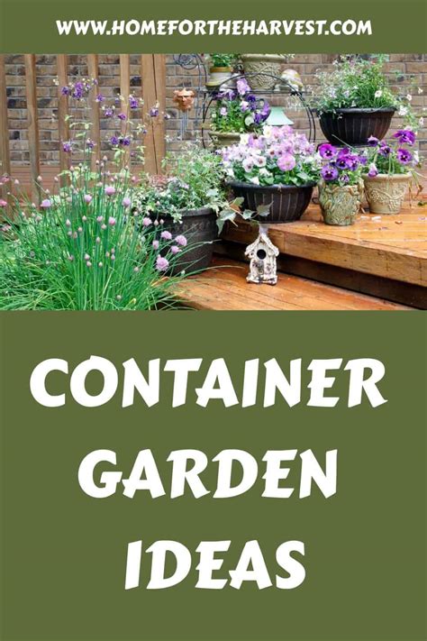 Container garden ideas 🌿 🌺 Innovative garden ideas for any setting