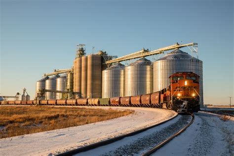 Going with the grain to serve elevators big and small