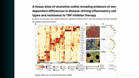 From Images To Insights Deep Spatial Phenotyping Reveals Disease And