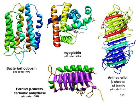 Ppt Chapter 25 Amino Acids Peptides And Proteins Monomer Unit Amino Acids Biopolymer