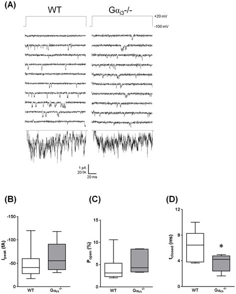 Single-channel properties of L-type calcium channels. (A) Exemplary... | Download Scientific Diagram