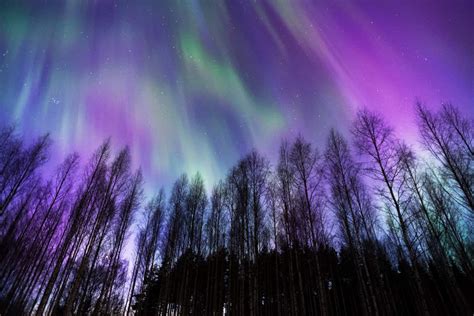 This Weekend! Minnesota's Skies Set For Rare Northern Lights!