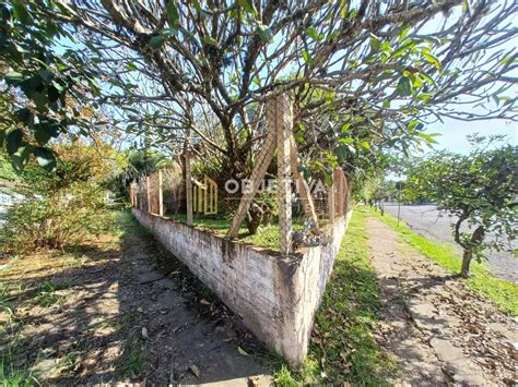 Lote Terreno Na Rua Engenheiro Jorge Schury Hamburgo Velho Em