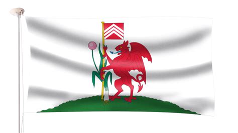 Cardiff Flag | Hampshire Flag Company