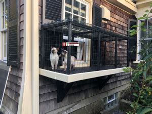 Window Catio - DIY Project