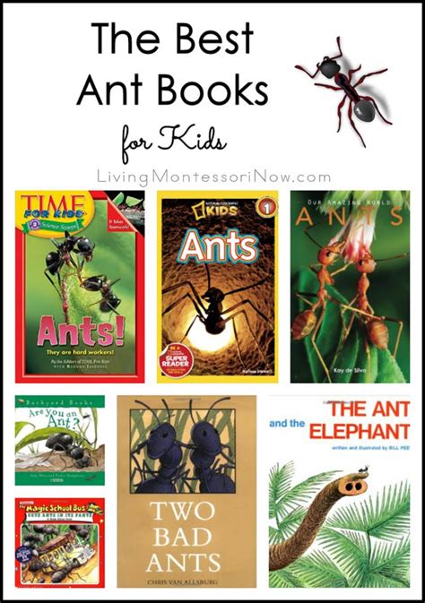 The Best Ant Books For Kids Living Montessori Now