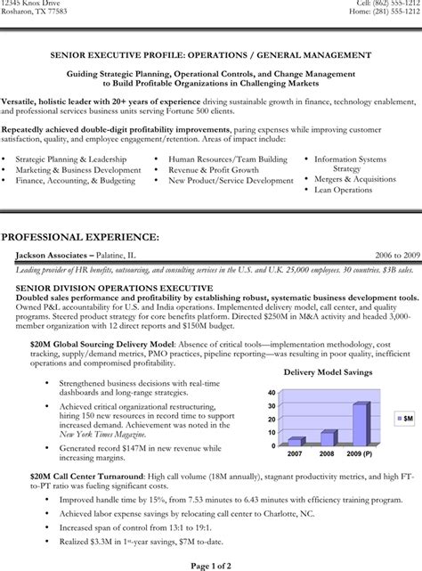 Free Senior Executive Resume Sample Doc Kb Page S