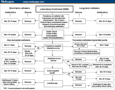 Treatment of catheter-related bloodstream infection. Adapted from ...