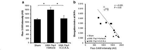 Intracellular Calcium Level In Erythrocytes A Intracellular Calcium