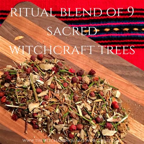 Ritual Blend Of 9 Sacred Witchcraft Trees Witchcraft Sacred Witch Herbs