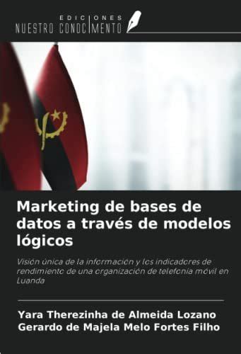 Marketing bases de datos modelos lógicos Visión única información