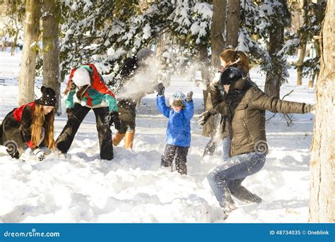 Playing in Snow stock image. Image of nature, cool, play - 48734035