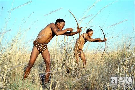 Bushmen Hunters With Bows Arrows Stock Photo Picture And Rights