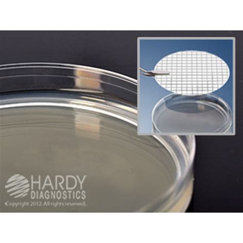 Hardy Diagnostic G03 Dry Culture Media R2a Agar Plate 90 Day Shelf