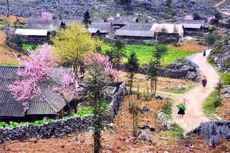 The unique spring festivals to see in Ha Giang