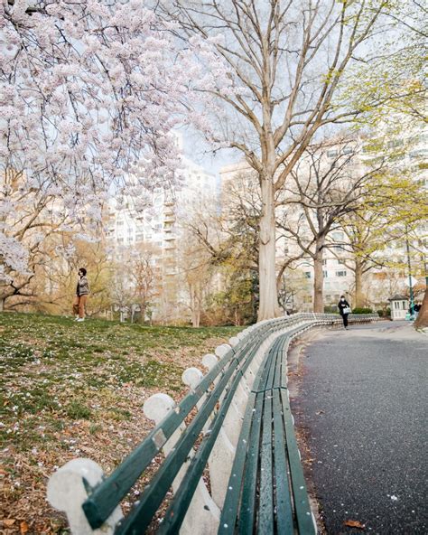 Spring Into Action What To Expect From New York City Weather In April
