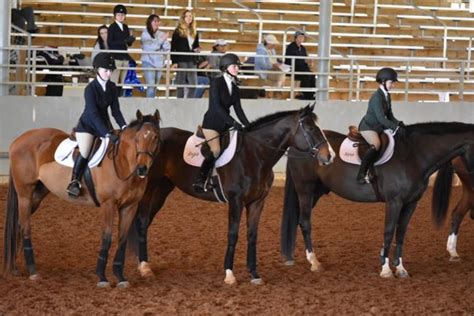 What Is Iea The Interscholastic Equestrian Association Explained The