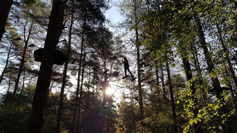 Go Ape Moors Valley Rated And Reviewed By Experts On