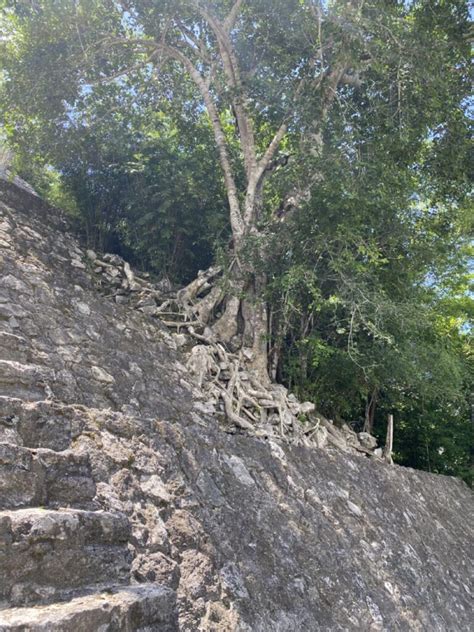 Calakmul La Capital Del Reino De La Serpiente Somos