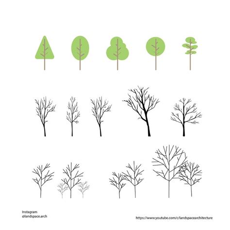 Different Types Of Trees In Various Stages Of Growth From Green To