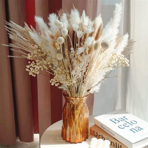 Pcs Various Dried Pampas Grass D Cor Inch Pampas Grass For