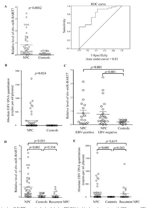 Figure 1 From Overexpression Of Epstein Barr Virus Encoded MicroRNA