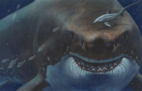 Megalodon By Esthervanhulsen On Deviantart