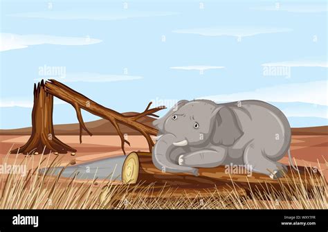 Deforestation scene with dying elephant illustration Stock Vector Image ...