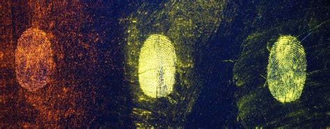 Latent Prints DPS Forensic Services