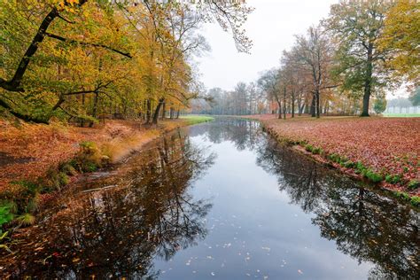 A River during Fall · Free Stock Photo