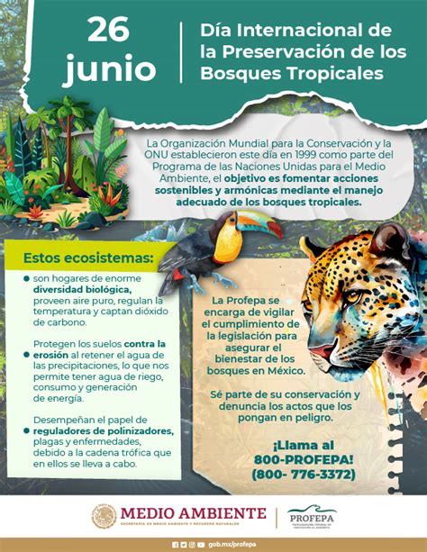 D A Internacional De La Preservaci N De Los Bosques Tropicales