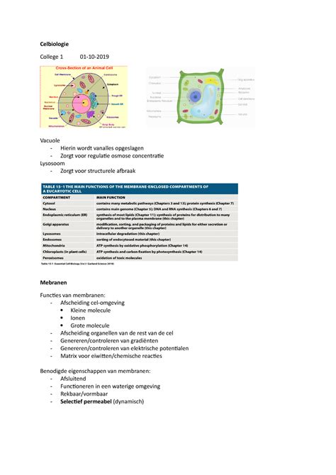 Celbiologie College Aantekeningen Celbiologie College 1 01 10