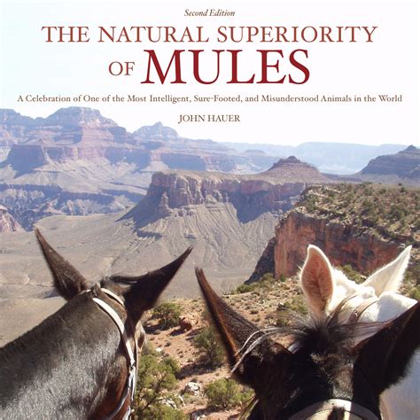 The Natural Superiority Of Mules A Celebration Of