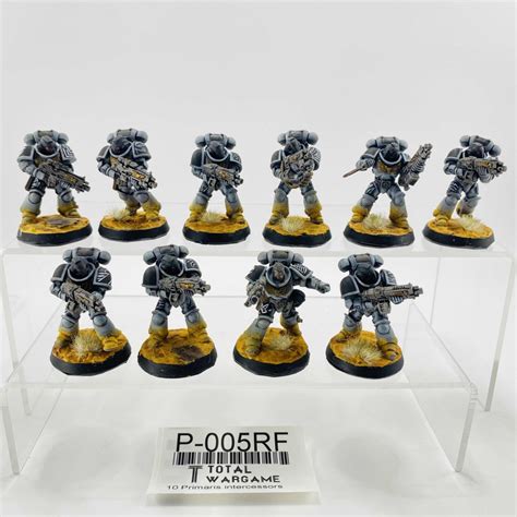 Primaris intercessors