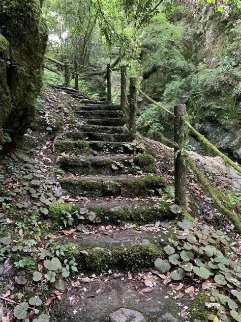 『初めての高知、二日目は仁淀ブルーを求めて…』いの町・土佐町 高知県 の旅行記・ブログ By Lunaさん【フォートラベル】