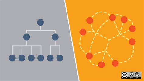 organization   silicon valley  ecosystem