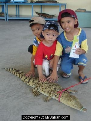 Tuaran Crocodile Farm, Sabah, Malaysia/tuaran-crocodile-dsc03627