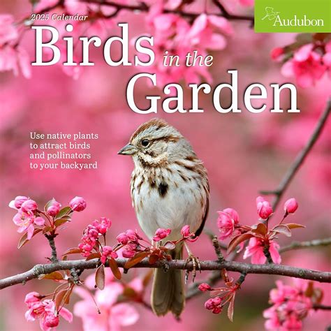 Audubon Birds Calendar 2025 - Dede Kriste