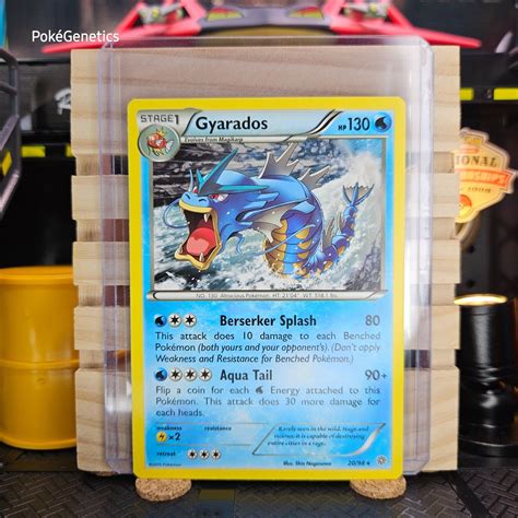 Gyarados 20 98 Ancient Origins XY Pokémon TCG Rare Non Holo eBay