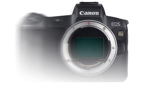 Quelles Caract Ristisques Pour Le Canon Eos R Ii Photoetmac