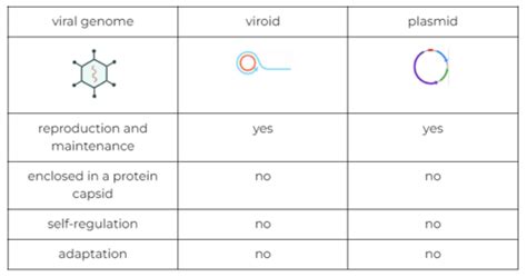 Mikrobiologie VIROLOGIE Und Immunologie BIO132 Flashcards Quizlet