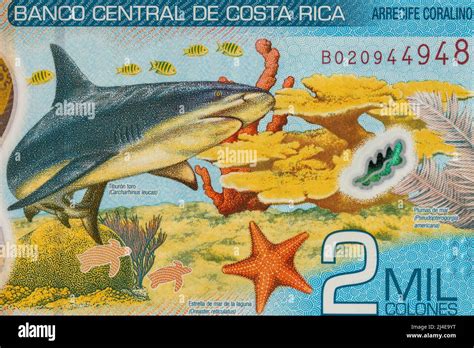 Costa Rica New 2000 Colon Banknote Close Up Back Of Money With A