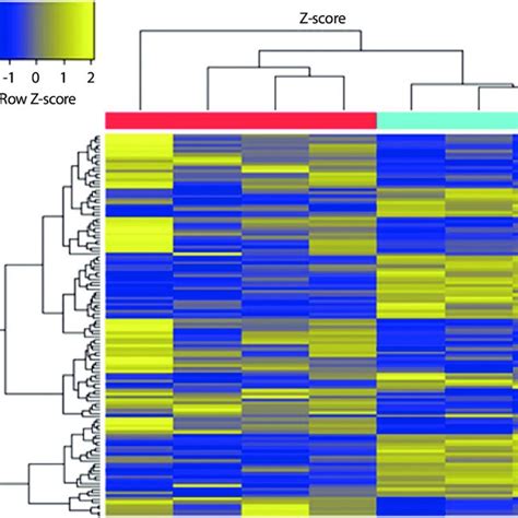 Hierarchical Clustering Heatmap Expressed Genes Of Control Vs