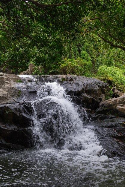 premium photo cascade waterfall river  tropical forest