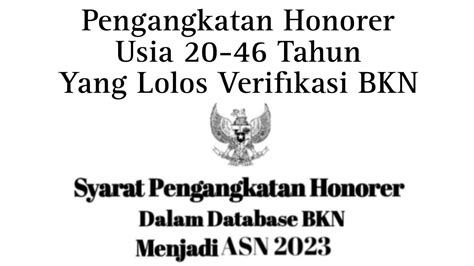 Honorer Usia 20 46 Tahun Yang Lolos Verifikasi BKN Diangkat Menjadi ASN