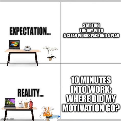 Expectation Vs Reality Imgflip